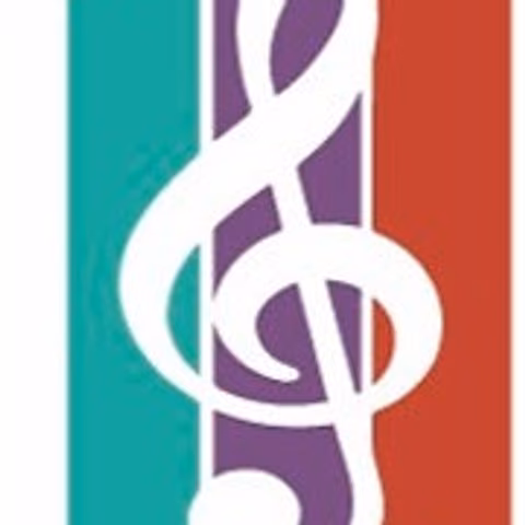 NAPLES COMMUNITY ORCHESTRA INC
